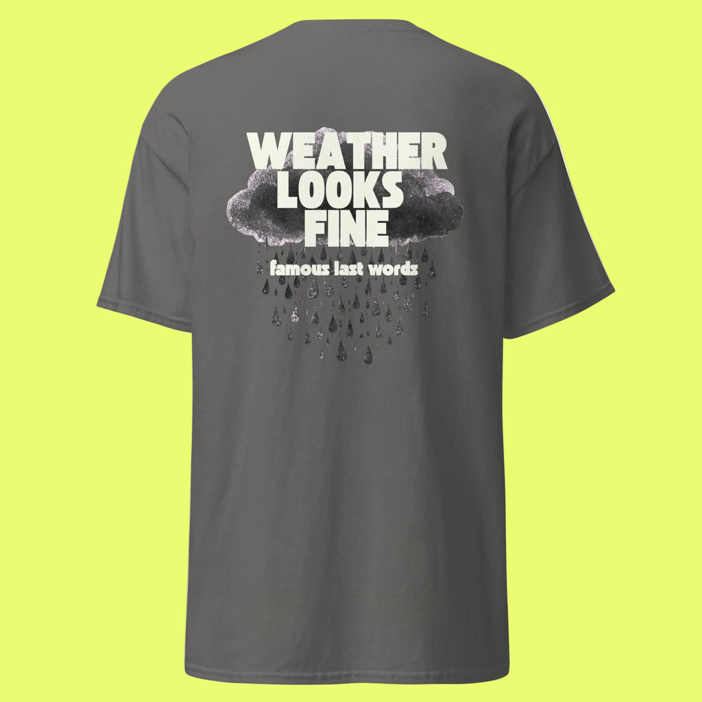 Gray t-shirt with 'Weather Looks Fine' text on the back against a white background